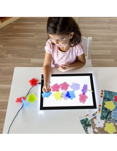 Juego de asociación de tortugas translúcidas