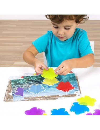 Juego de asociación de tortugas translúcidas